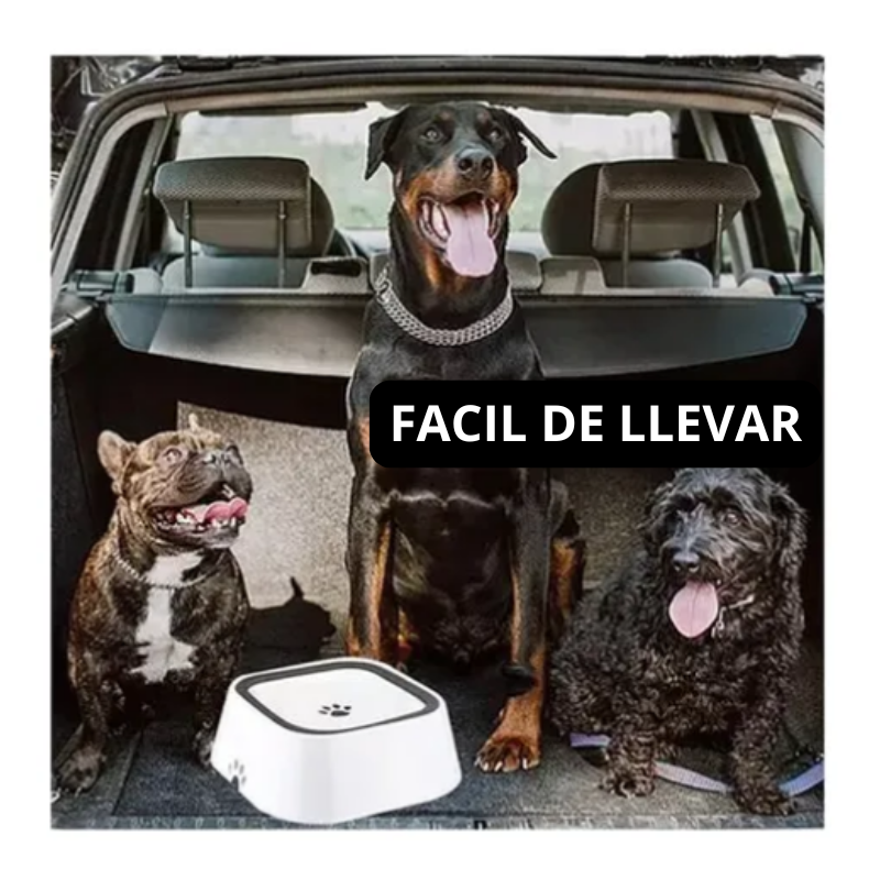 Plato Tazón De Perro Gato 1 Lt Dispensador De Agua Antiderrame - Image 7
