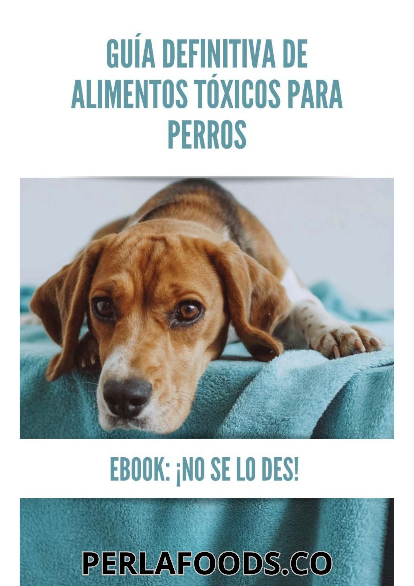 Guia Alimentos permitidos - Libro PDF Virtual PerlaFoods