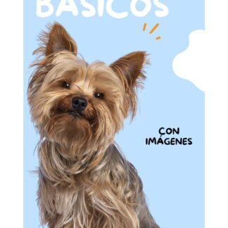 Guía comandos básicos ilustrados Libro Virtual PDF