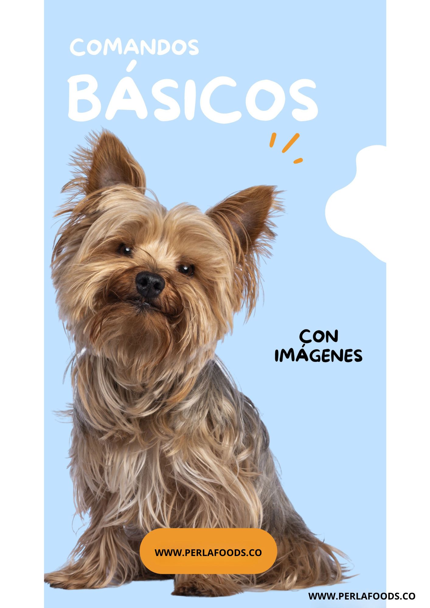 Guía comandos básicos ilustrados Libro Virtual PDF