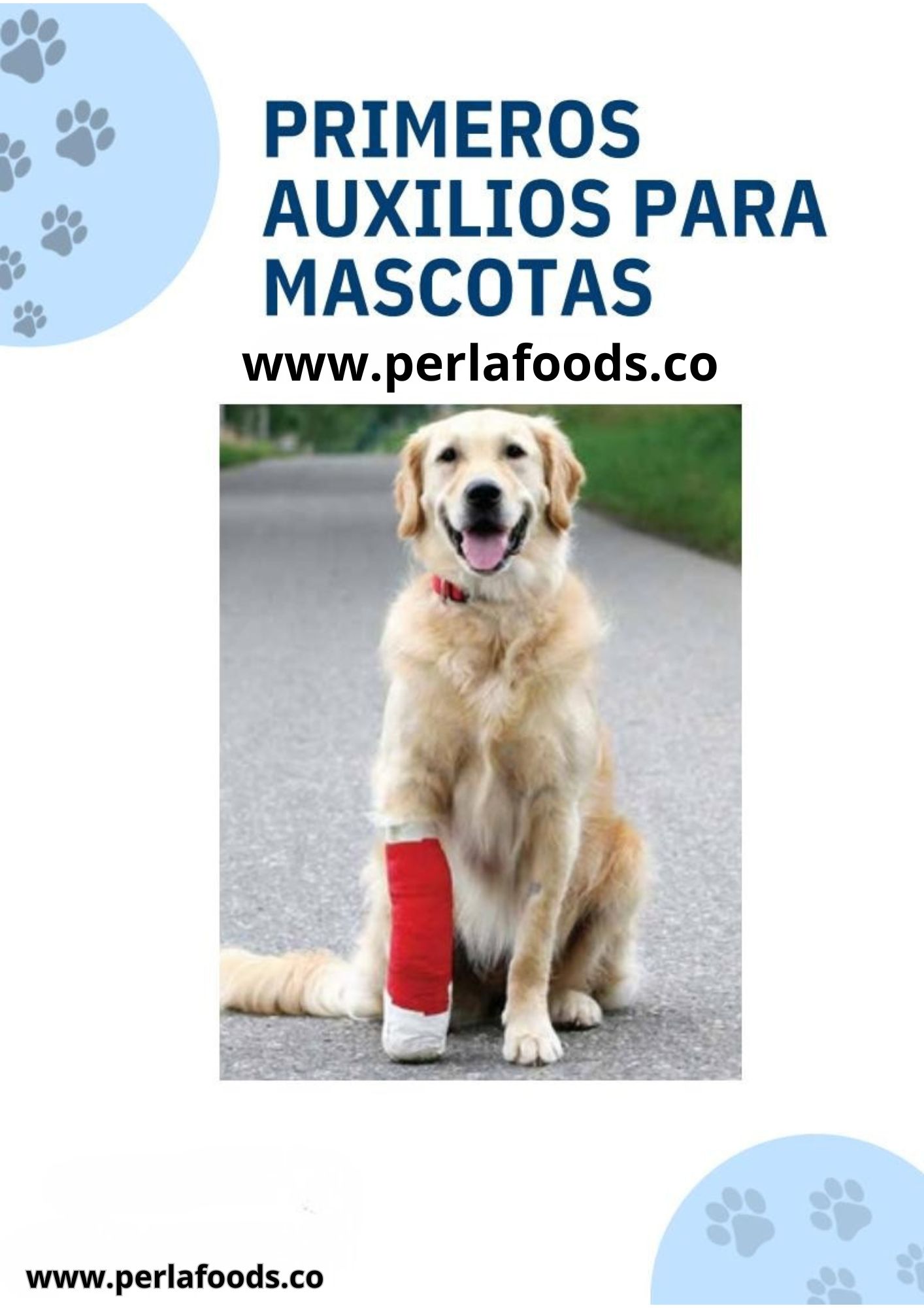 Guía de Primeros Auxilios para Mascotas Libro Virtual PDF