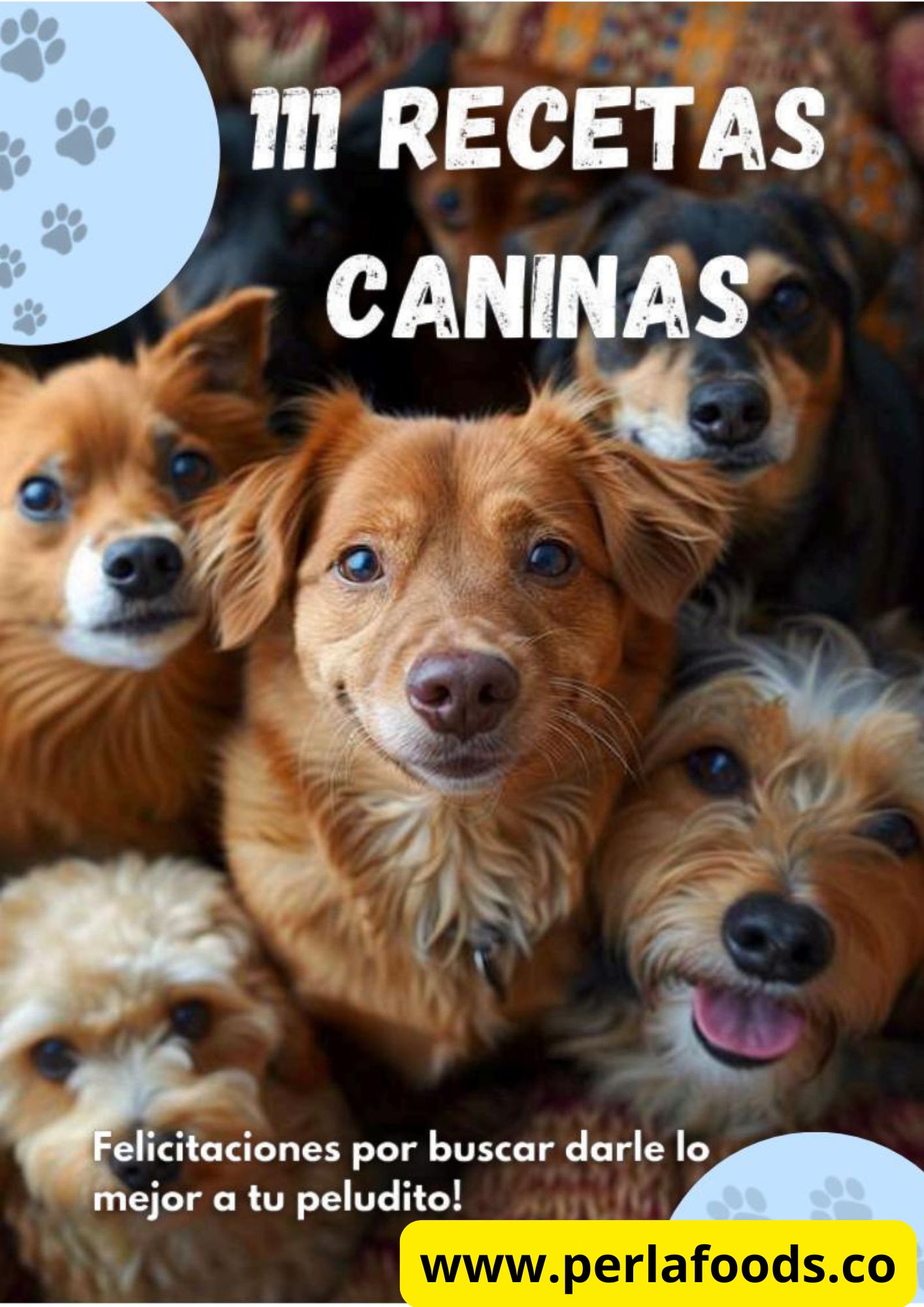 Recetario Canino 101 recetas Libro Virtual PDF